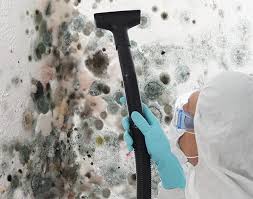 Best Biohazard Mold Removal  in Millport, AL